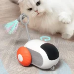 remote control interactive cat car toy